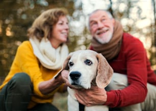 A happy senior couple with a dog on a walk in an autumn nature at sunset.