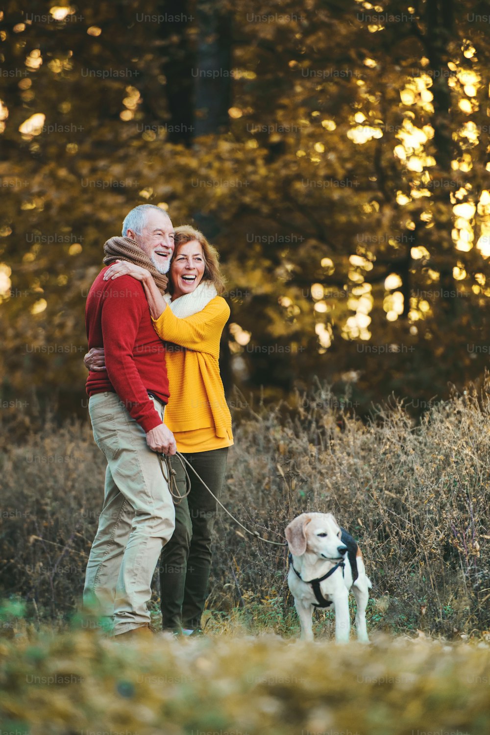 Ein glückliches älteres Paar mit einem Hund, der in einer herbstlichen Natur steht und sich umarmt.