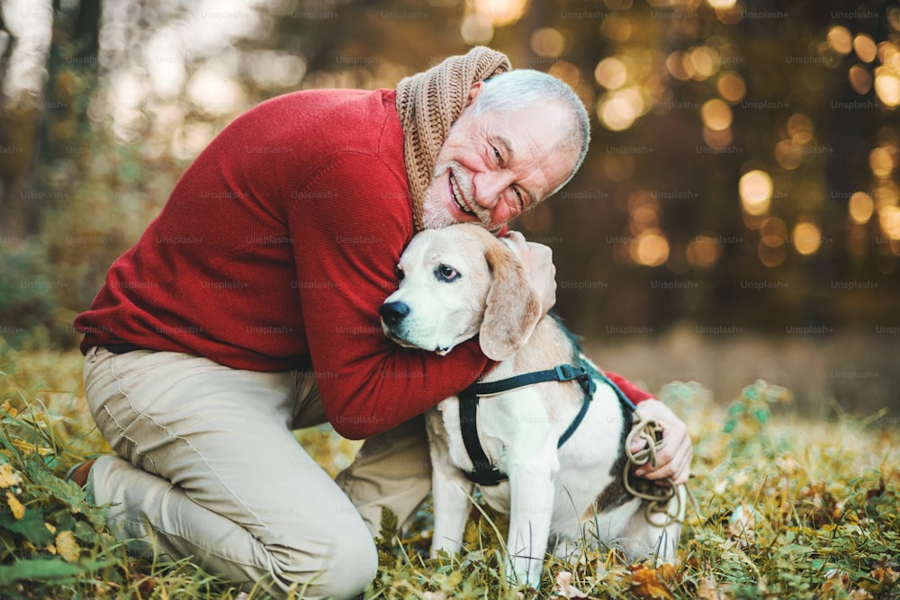 Un hombre mayor feliz con un perro en un paseo en una naturaleza otoñal al atardecer.