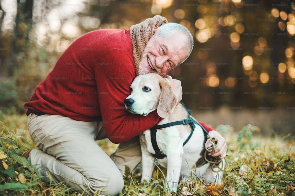 A happy senior man with a dog on a walk in an autumn nature at sunset.