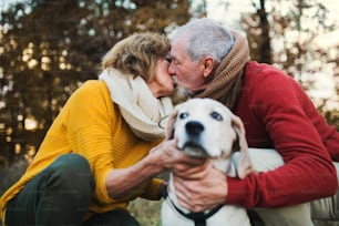 A happy senior couple with a dog in an autumn nature, kissing.
