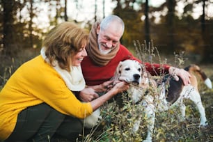 秋の自然の中で犬を連れた幸せな老夫婦。