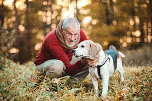 해질녘 가을 자연 속에서 산책하는 개를 데리고 있는 행복한 노인.