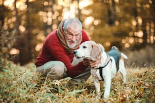 A happy senior man with a dog on a walk in an autumn nature at sunset.