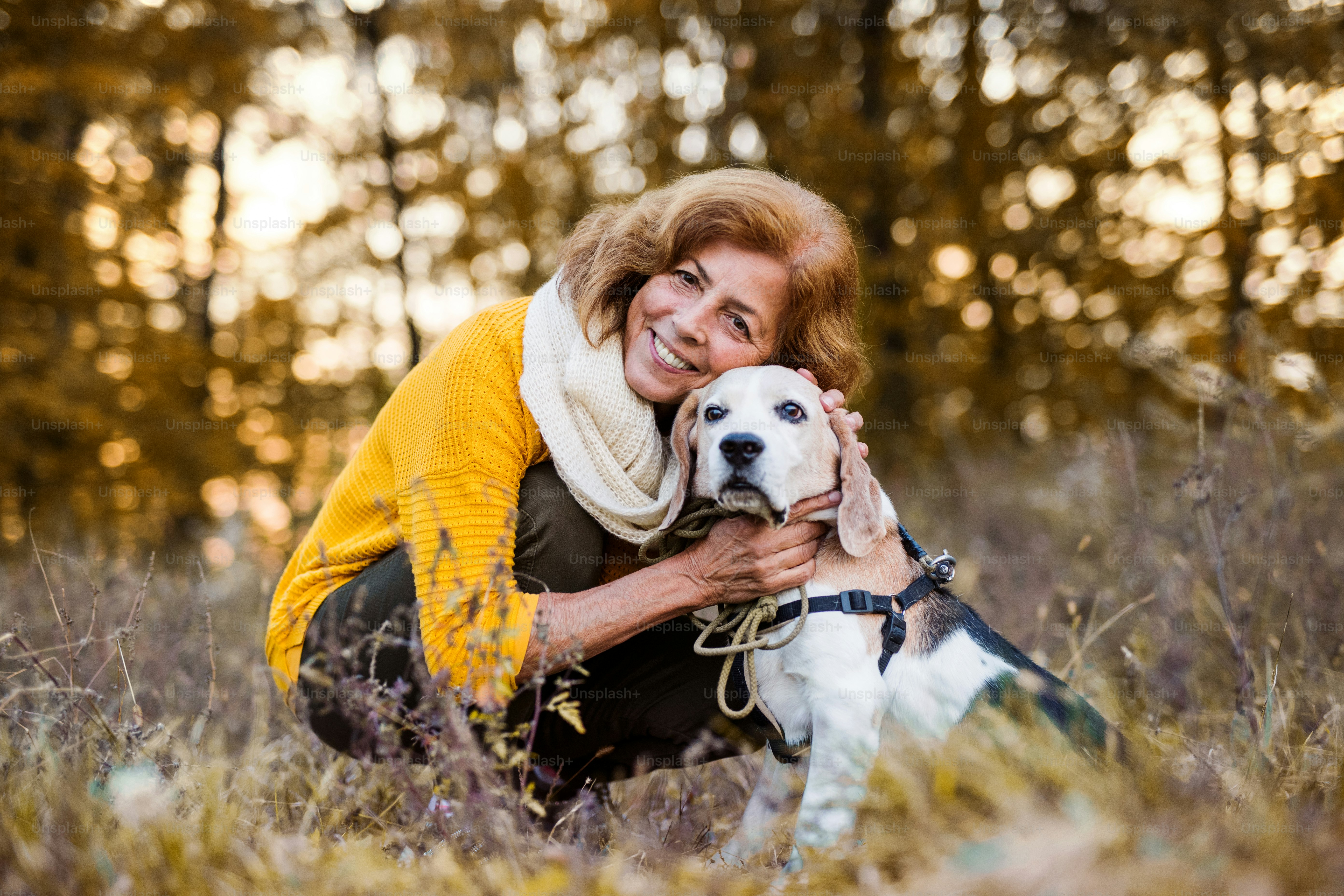 Una mujer mayor feliz con un perro en un paseo en una naturaleza otoñal ...