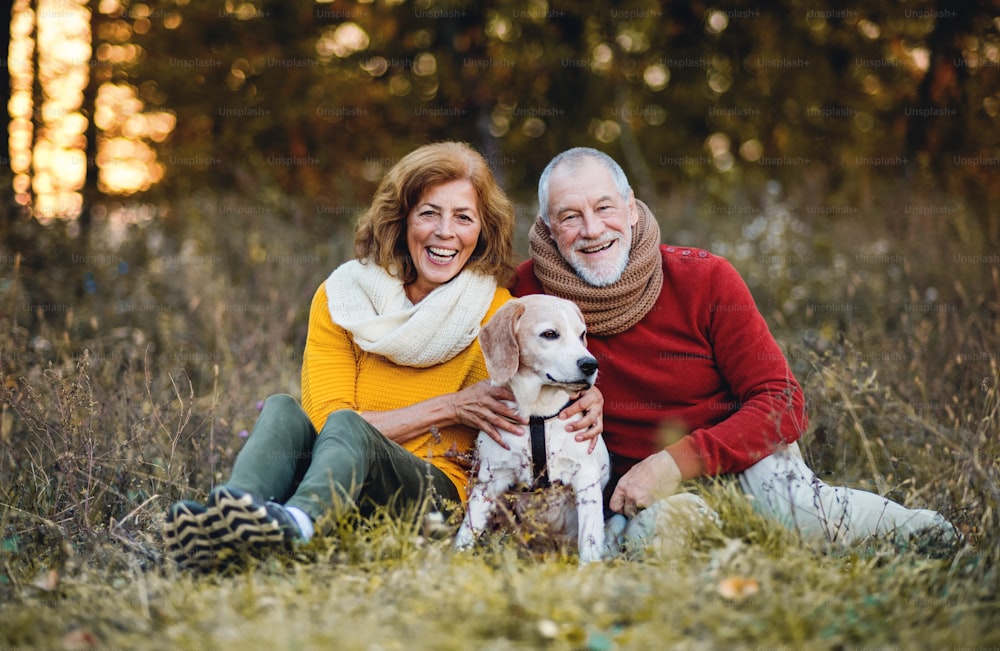 A happy senior couple sitting on a grass with a dog in an autumn nature at sunset.