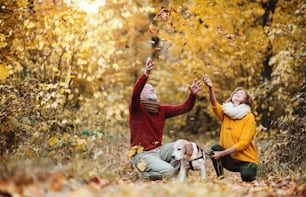 A happy senior couple with a dog on a walk in an autumn nature at sunset, having fun.