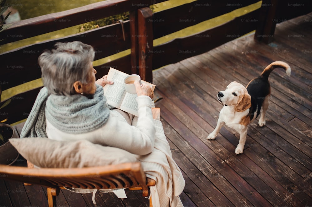 秋の晴れた日に屋外のテラスに座って読書をしている本、犬、コーヒーを飲んだ年配の女性のトップビュー。