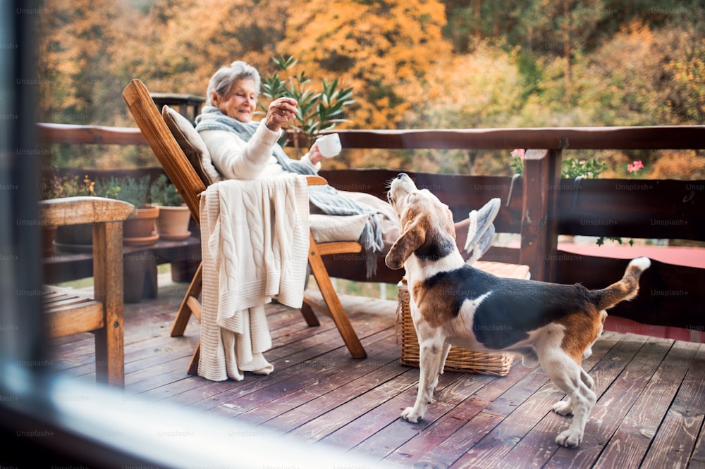 Una anciana con una taza de café sentada al aire libre en una terraza en un día soleado de otoño, jugando con un perro.