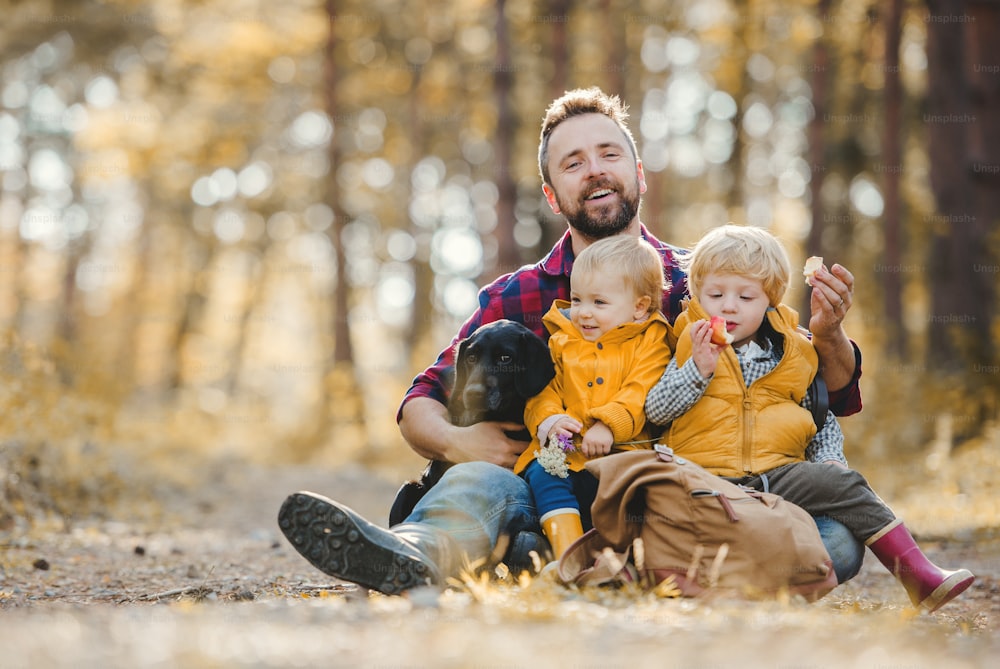 幼児の子供を持つ成熟した父親と、秋の森の地面に座ってリンゴを食べる犬。
