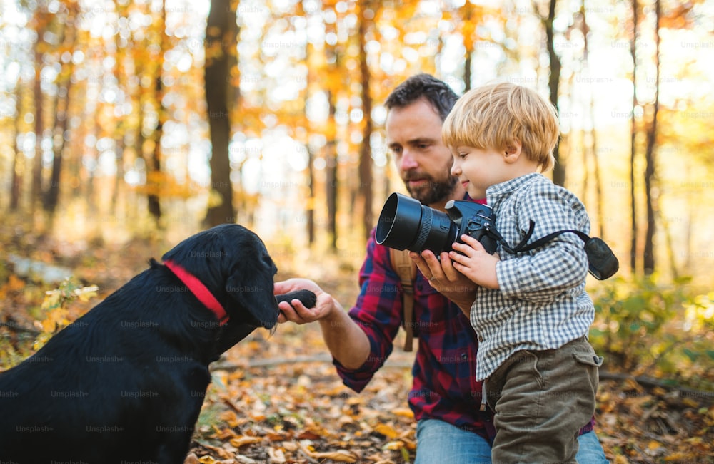 秋の森で犬を連れた成熟した父親とカメラを持った幼児の息子。