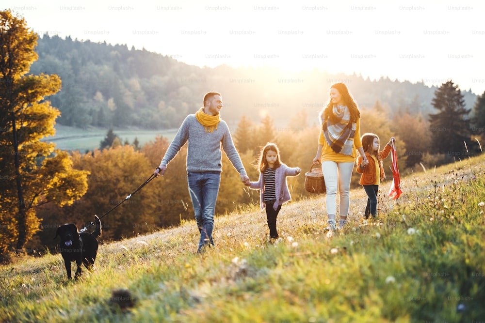 Eine junge Familie mit zwei kleinen Kindern und einem schwarzen Hund bei einem Spaziergang auf einer Wiese bei Sonnenuntergang.