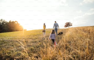 A rear view of family with child and a dog on a walk in autumn nature at sunset. Copy space.