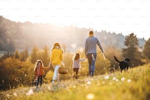 A rear view of young family with two small children and a dog on a walk in autumn nature.