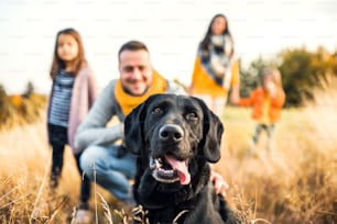 Eine junge Familie mit zwei kleinen Kindern und einem schwarzen Hund auf einer Wiese in der herbstlichen Natur.