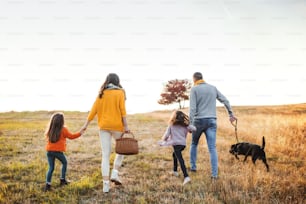 秋の自然の中を散歩する2人の小さな子供と犬を持つ若い家族の背面図。