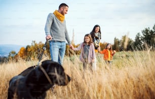 A young family with two small children and a black dog on a walk in autumn nature.