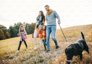 A young family with two small children and a black dog on a walk in autumn nature.