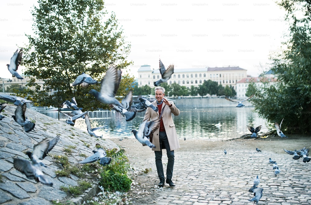 Mature handsome businessman walking by river Vltava in city of Prague, dispersing a flock of pigeons. Copy space.