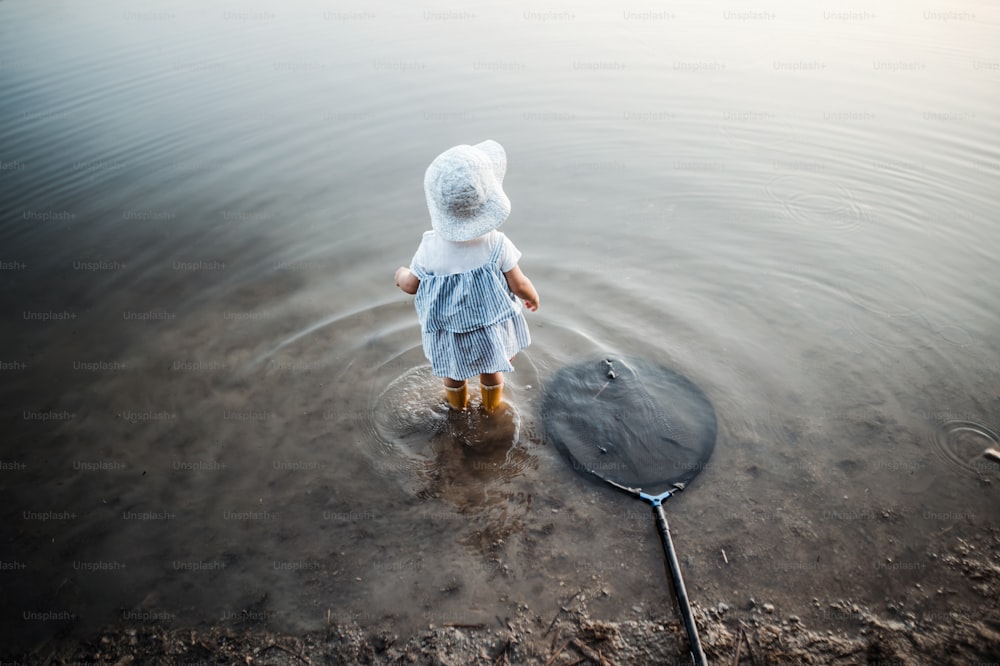 A rear and high-angle view of small toddler girl standing in water in a lake, a fishing net next to her.