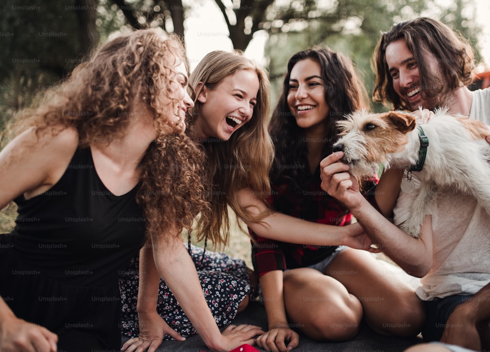 A group of young friends with a dog sitting on grass in front of a retro minivan on a roadtrip through countryside.