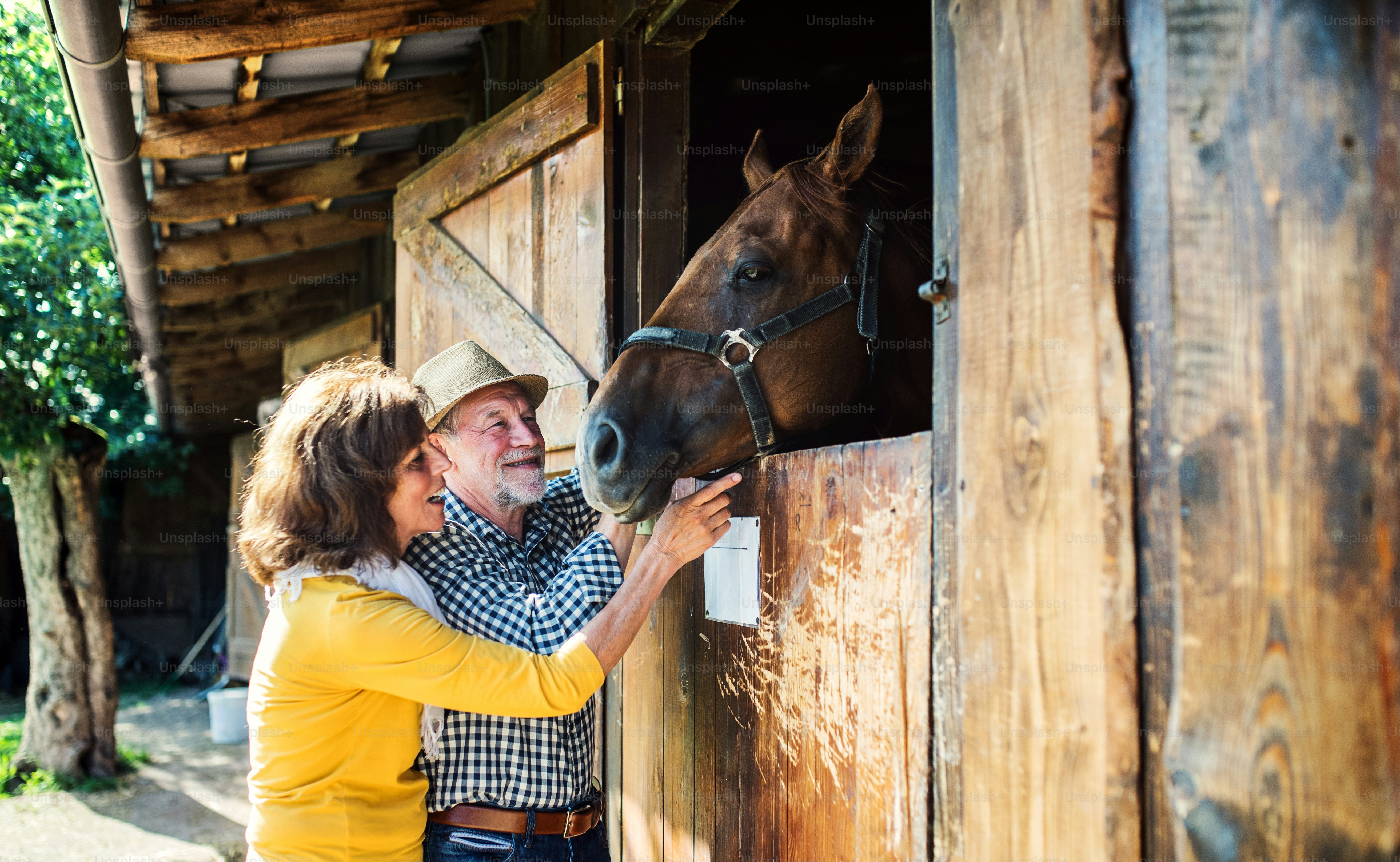 Una pareja mayor con un caballo marrón parado frente a un establo de madera.
