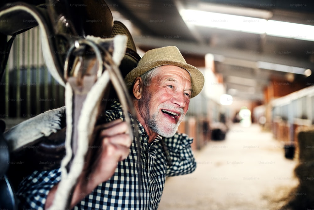 Um homem idoso feliz com um chapéu carregando uma sela de cavalo em seus ombros em um estábulo.