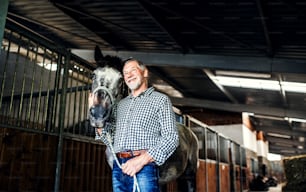 A happy senior man standing close to a horse in a stable, holding it.