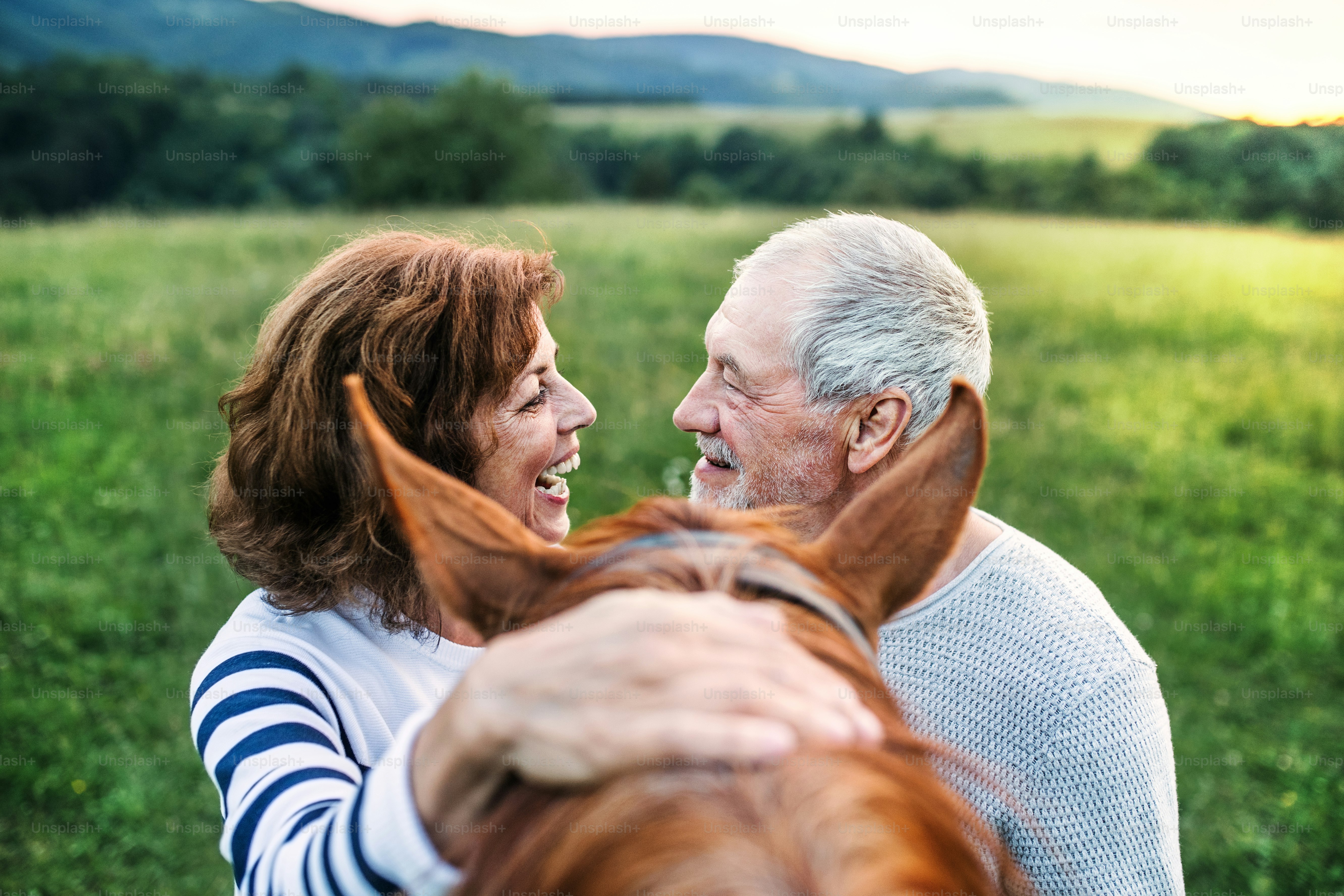 Una pareja de ancianos locos de pie y sosteniendo un caballo afuera en la naturaleza, mirándose el uno al otro.
