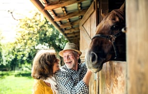 木造の馬小屋の前に立つ茶色の馬を乗せた老夫婦。