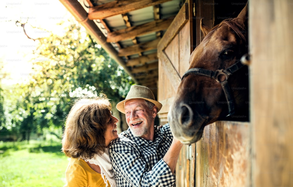 A senior couple with a brown horse standing in front of a wooden stable.
