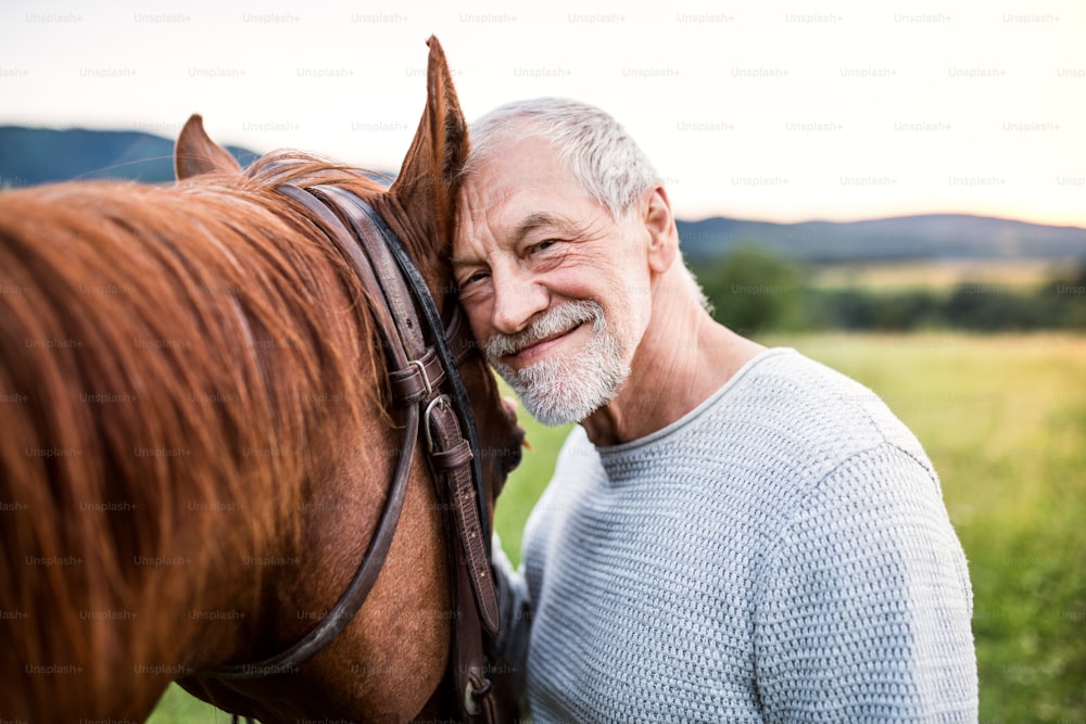 Um homem idoso feliz de pé perto de um cavalo ao ar livre na natureza, segurando-o.