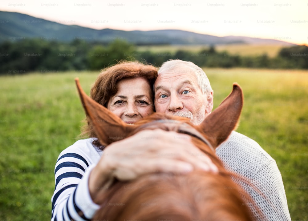 Una pareja de ancianos locos de pie junto a un caballo afuera en la naturaleza, mirando por encima de su cabeza, sosteniéndolo.