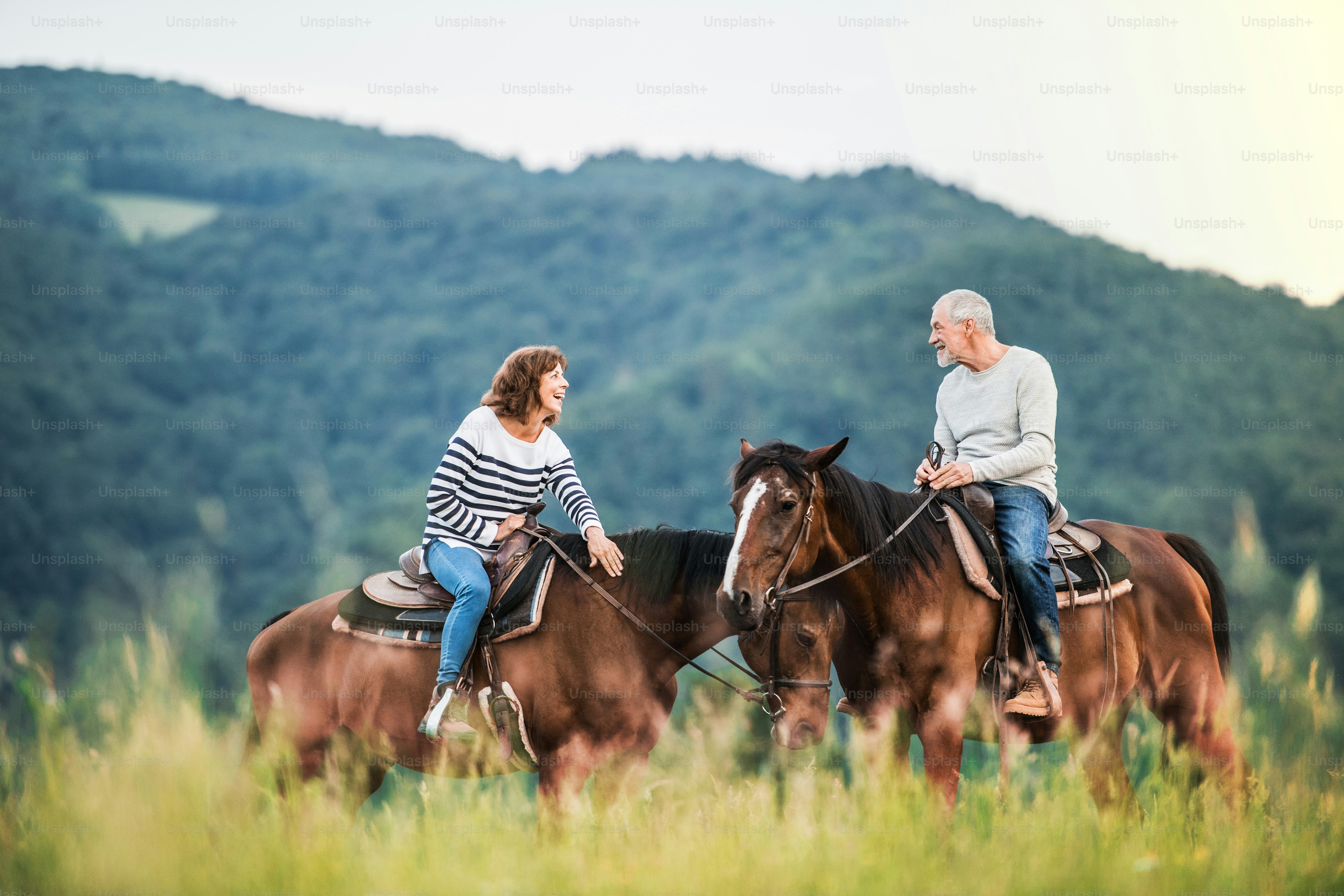 Um casal de idosos felizes andando a cavalo em um prado na natureza.