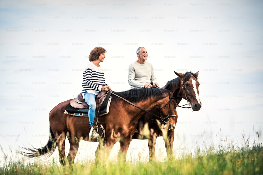Um casal de idosos felizes andando a cavalo em um prado na natureza.