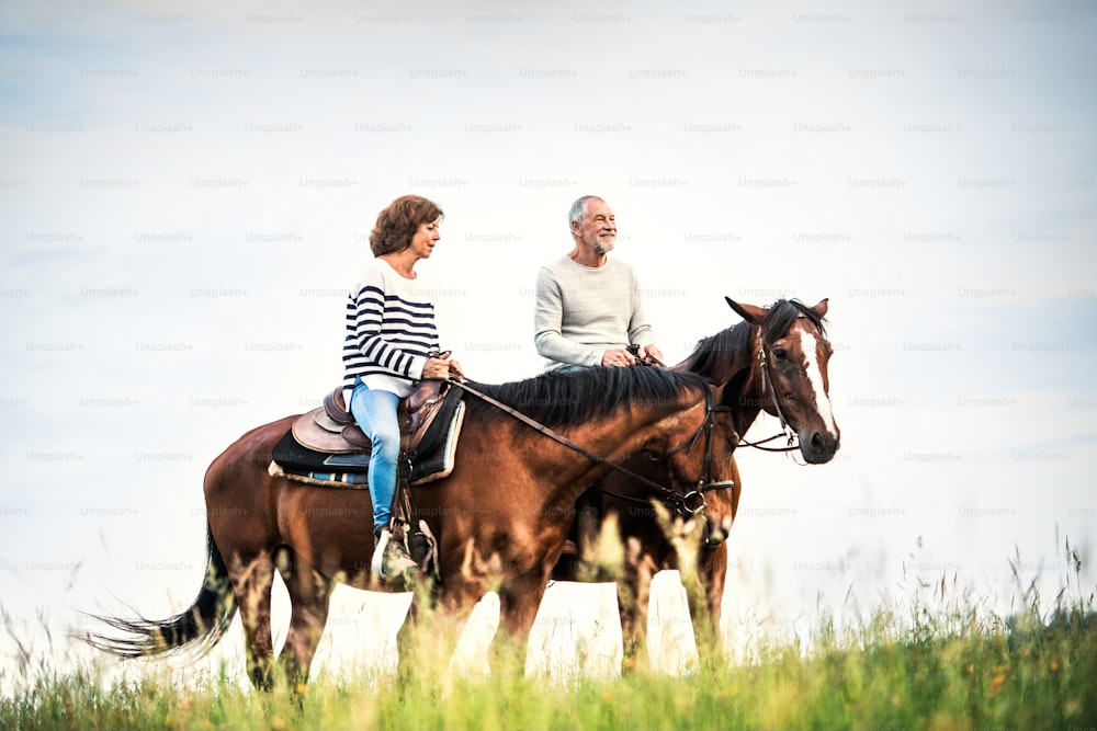 A happy senior couple riding horses on a meadow in nature.