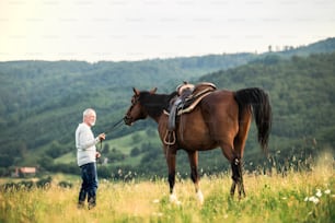 A happy senior man holding a horse by his lead outdoors on a pasture.