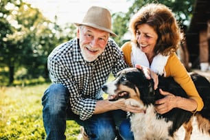 Um close-up de um alegre casal de idosos agachado e acariciando um cachorro.