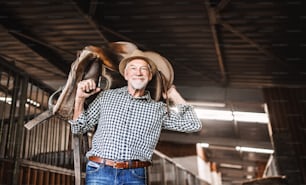 A happy senior man with a hat carrying a horse saddle on his shoulders in a stable.
