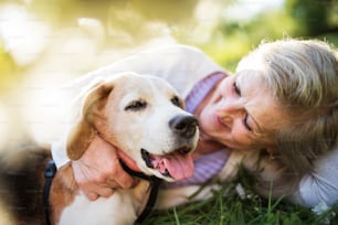 Donna anziana irriconoscibile con un cane sdraiato su un'erba fuori nella natura primaverile, riposando.