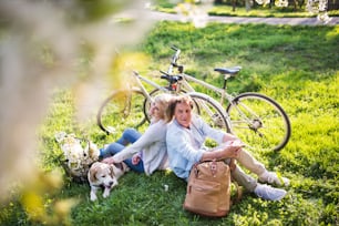 Hermosa pareja de ancianos con un perro y bicicletas afuera en la naturaleza primaveral bajo árboles en flor. Un hombre y una mujer enamorados, sentados en el suelo. Vista de ángulo alto.