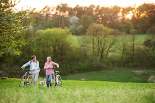 春の自然の中で外に出て、犬と自転車で草原を歩く美しい老夫婦。