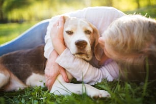 Unrecognizable senior woman with a dog lying down on a grass outside in spring nature.