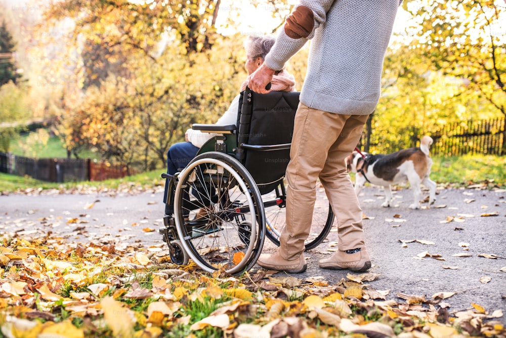 Unrecognizable senior man and elderly woman in wheelchair in autumn nature. Man with his mother on a walk.