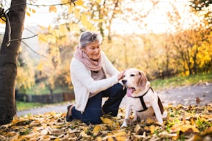 An elderly woman with dog in autumn nature. Senior woman on a walk.