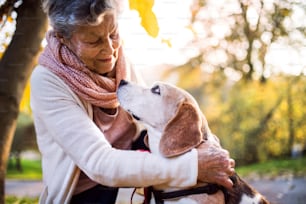 An elderly woman with dog in autumn nature. Senior woman on a walk.