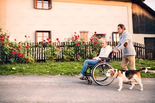Casal sênior em um passeio com um cachorro. Homem sênior empurrando uma mulher em uma cadeira de rodas na estrada da aldeia.