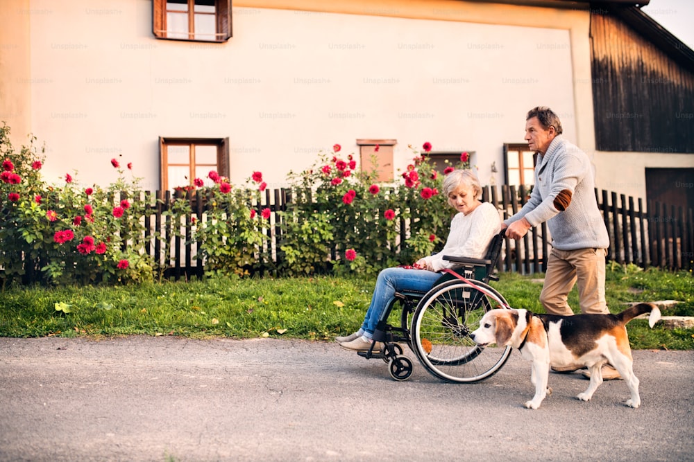 Älteres Paar bei einem Spaziergang mit einem Hund. Älterer Mann schiebt eine Frau im Rollstuhl auf der Dorfstraße.