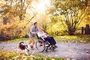 Uomo anziano e donna anziana in sedia a rotelle nella natura autunnale. Uomo con sua madre a passeggio con un cane.