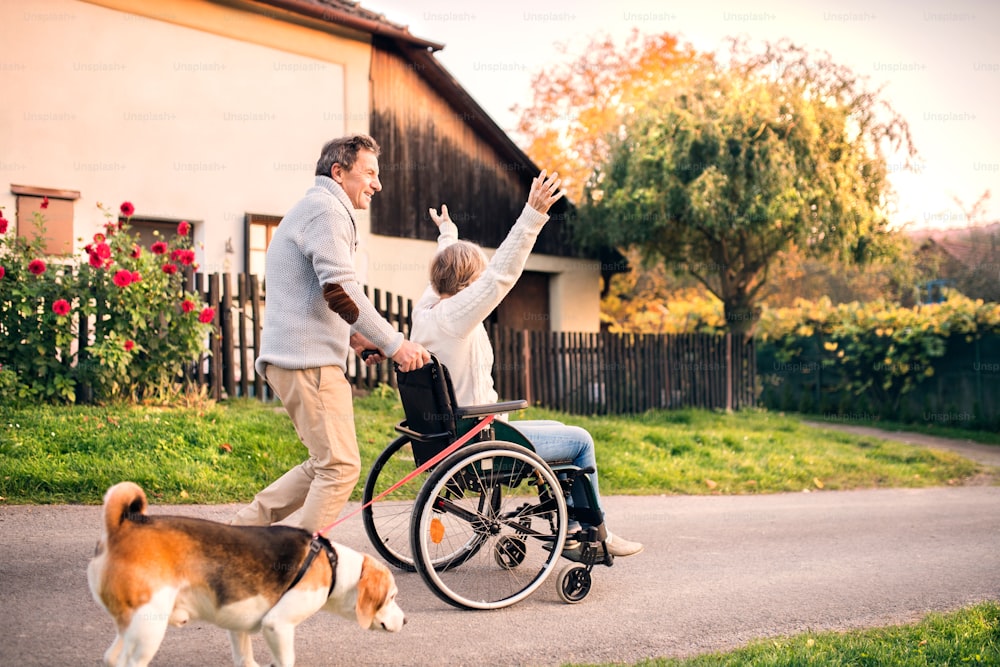 Senior couple on a walk with a dog. Senior man pushing a woman in a wheelchair on the village road.